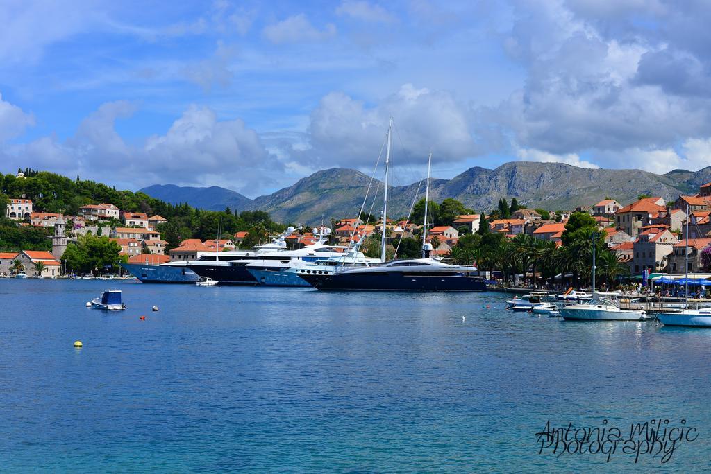 A&M Cavtat Family Apartment - 3 Bedrooms And Free Parking المظهر الخارجي الصورة